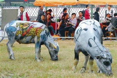 點(diǎn)擊瀏覽下一頁(yè)